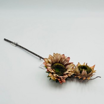 غصن تباع الشمس