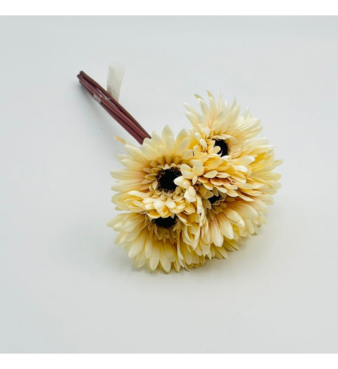 ورد تنسيق جيربيرا