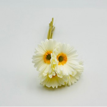 ورد تنسيق جيربيرا