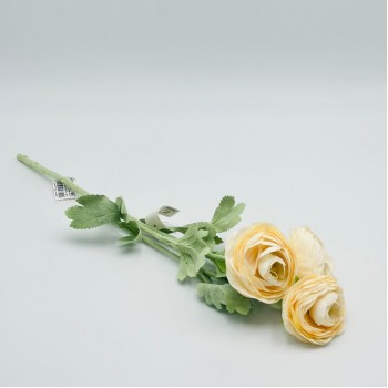 ورد تنسيق بيوني