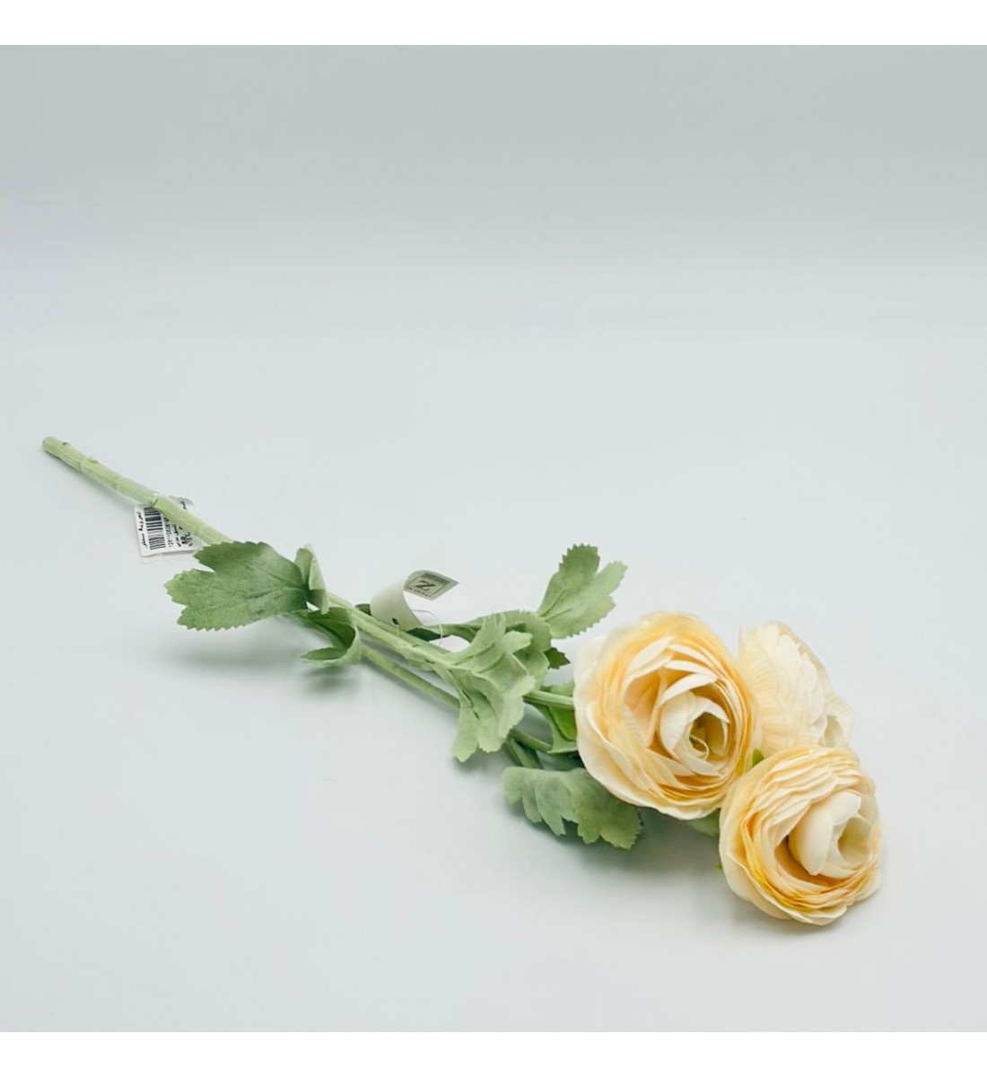 ورد تنسيق بيوني