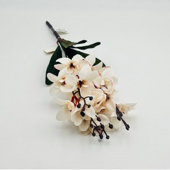 شتلة ورد ابيض