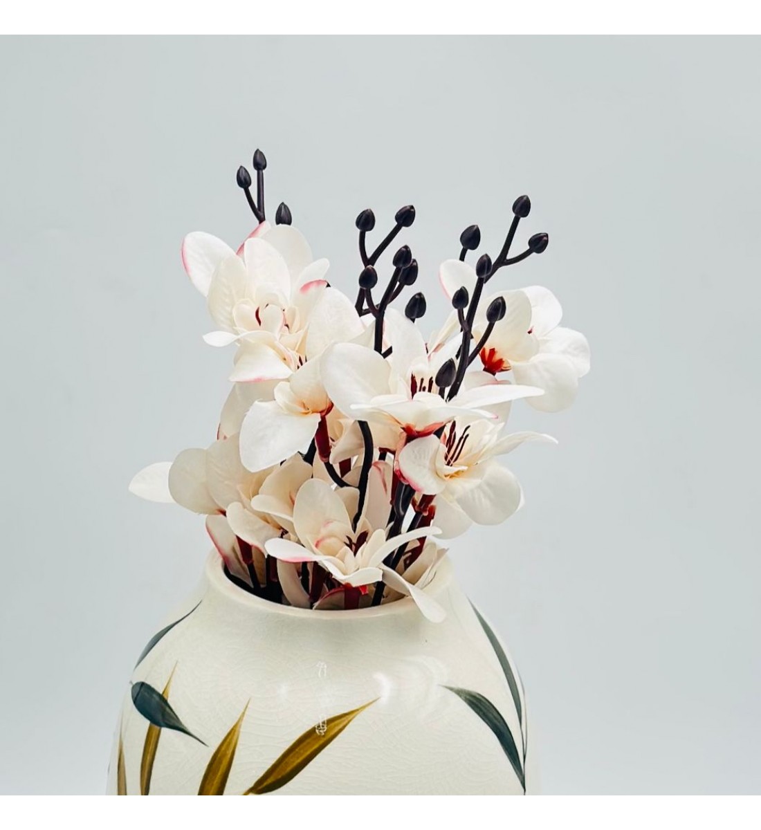 شتلة ورد ابيض