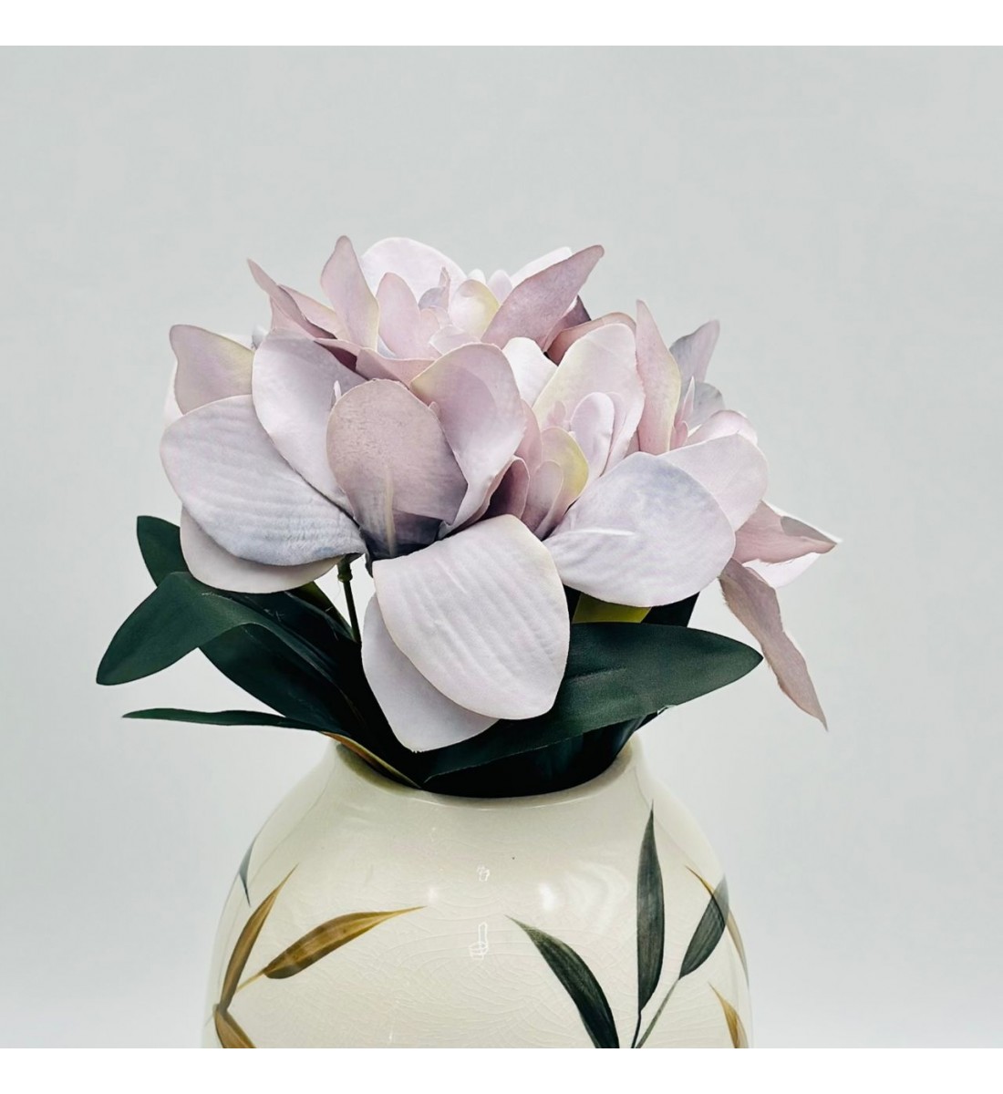 شتلة سمبديوم