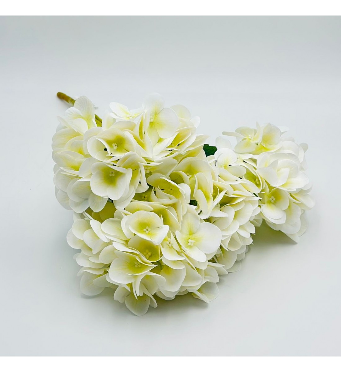 ورد تنسيق هيدرنجا