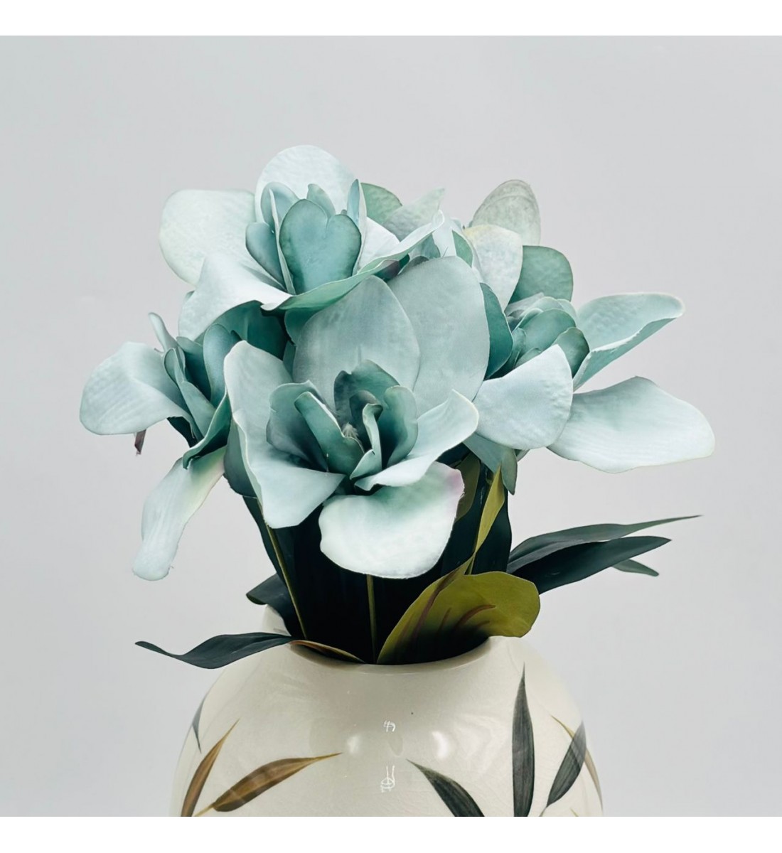 شتلة سمبديوم