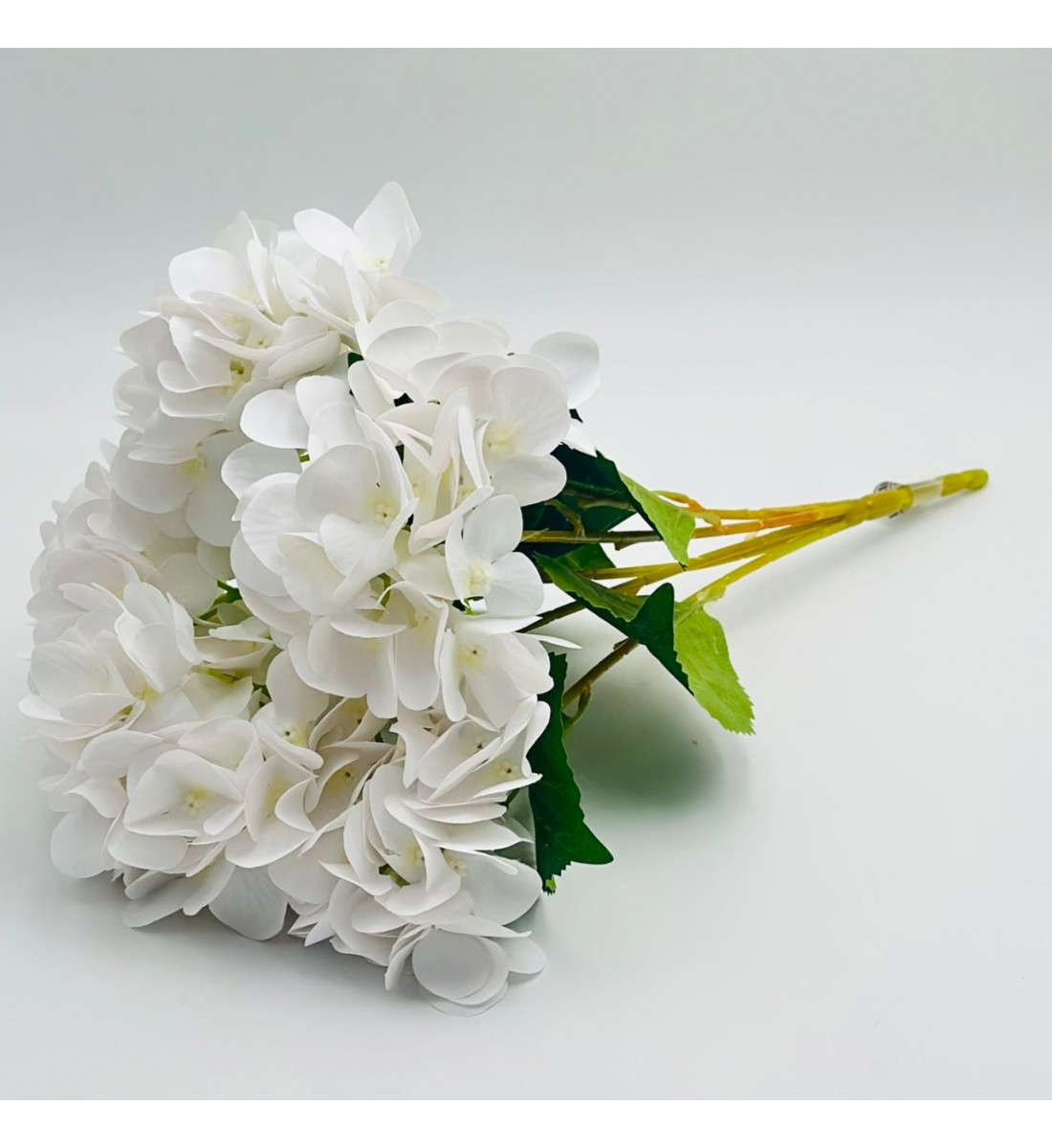 ورد تنسيق هيدرنجا