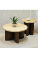 طقم طاولات قهوة دائرية دائري 2قطع 