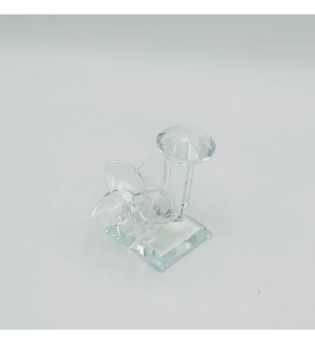 حامل ورق فراشة زجاج لون شفاف 