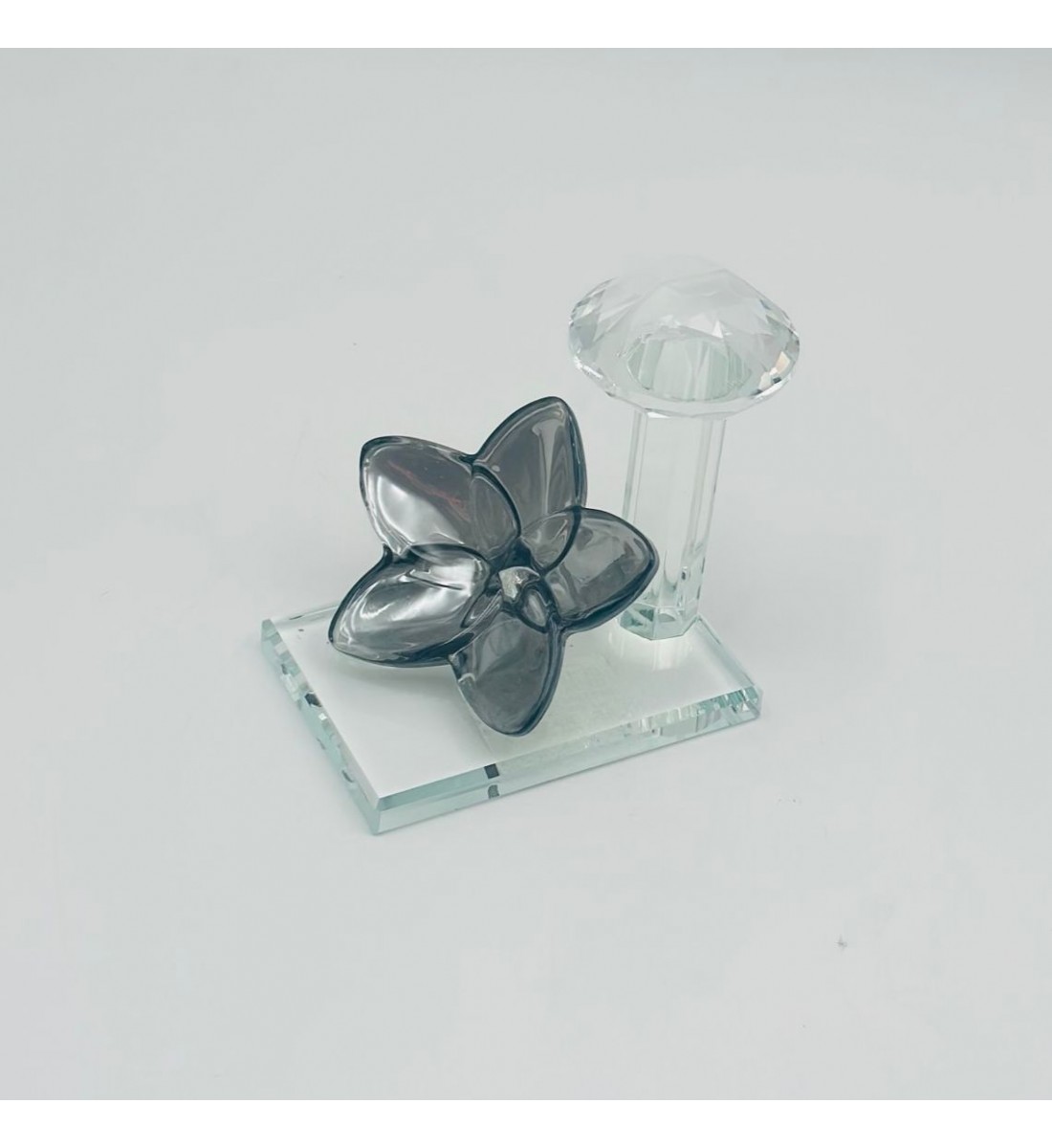 حامل ورق فراشة زجاج لون اسود