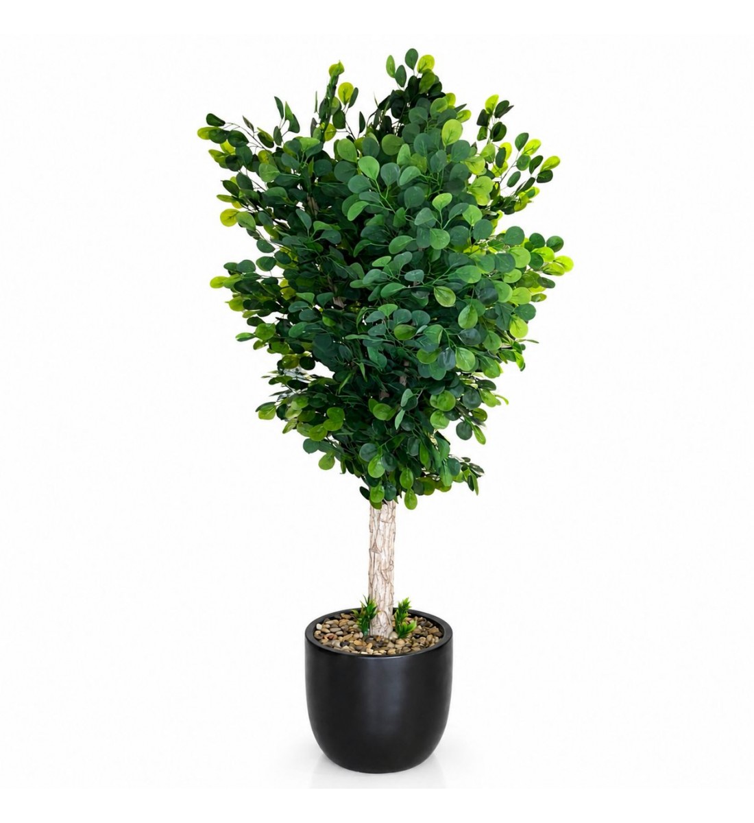 شجرة  بمركن سيراميك اسود صناعية طويلة الفكس او التين 210سم 