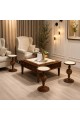 طقم طاولات ضيافة سطح بديل رخام وخشب قاعدة خشبي فاخر بتصميم كلاسيكي أنيق 5 قطع (منتج تفصيل) طقم طاولات ضيافة سطح بديل رخام وخشب قاعدة خشبي فاخر بتصميم كلاسيكي أنيق 5 قطع (منتج تفصيل)