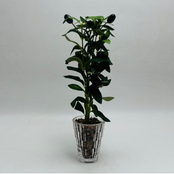 Artificial decorative olive tree with green branches and olives,