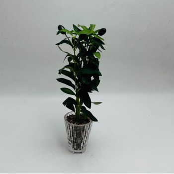 Artificial decorative olive tree with green branches and olives, Artificial decorative olive tree with green branches and olives,