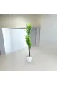  شجرة تزين مركن ابيض 160سم 