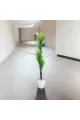  شجرة تزين مركن ابيض 160سم 
