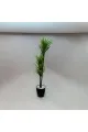  شجرة تزين مركن اسود 160سم 
