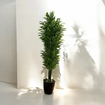 شجر اخضر بمركن بلاستيك اسود تزيين صناعي 180سم شجر اخضر بمركن بلاستيك اسود تزيين صناعي 180سم