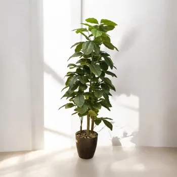 شجر اخضر 3 فروع  بمركن بلاستيك  اسود تزيين صناعي 145سم 