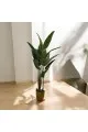  شجر صناعي موز بمركن بلاستسك ذهبي ارتفاع165  سم 