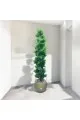 اشجار صناعية زينة ورق شوك مركن ذهبي  الطوال 160 سم 