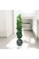 اشجار صناعية زينة ورق شوك مركن اسود الطوال 160 سم 
