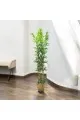 اشجار صناعية زينة ورق بامبوا  مركن ذهبي ارتفاع 185 سم