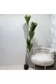 شجر زينة صناعي مع مركن اسود 175سم 