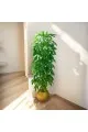 شجر زينة صناعي مع مركن ذهبي 175سم 