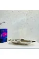 صحن تقديم من الاستانلس استيل مقاس39×20×5سم 