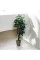 شجر زينة صناعي مع مركن ذهبي 2متر تقريبا 