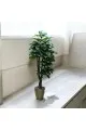 شجر زينة صناعي مع مركن ذهبي 2متر تقريبا 