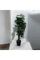شجر زينة صناعي مع مركن اسود 2متر تقريبا 