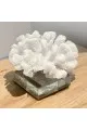 تحفة ديكور منزلي9×8×8سم 