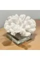 تحفة ديكور منزلي9×8×8سم 