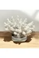 تحفة ديكور منزلي9×8×8سم 