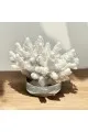 تحفة ديكور منزلي9×8×8سم 