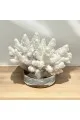 تحفة ديكور منزلي9×8×8سم 