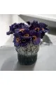 فازه زجاج  تصميم كلاسيك مقاس 20×17×17سم 