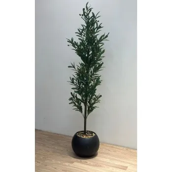 شجرة زيتون صناعيه مركن اسود 175سم 