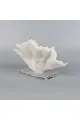 تحفة ديكور على شكل مرجان بقاعدة زجاج مستطيل مناسبة للزينه 26×15×10سم 