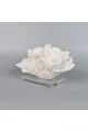 تحفة ديكور على شكل مرجان بقاعدة زجاج مستطيل مناسبة للزينه 26×15×10سم 